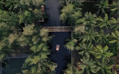 Jubeerich: Top Study Abroad Consultants for Indian Students