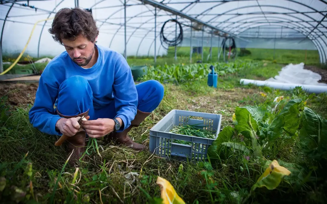 Bachelor of Science in Agriculture