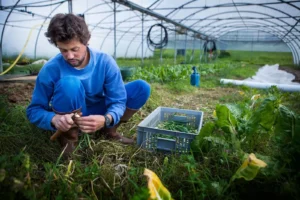 sustainable agriculture Agricultural Sustainability diploma, Lakeland
