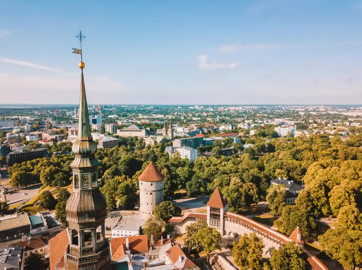 Study in Estonia