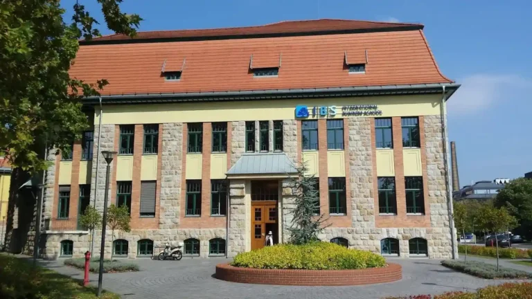 International Business School