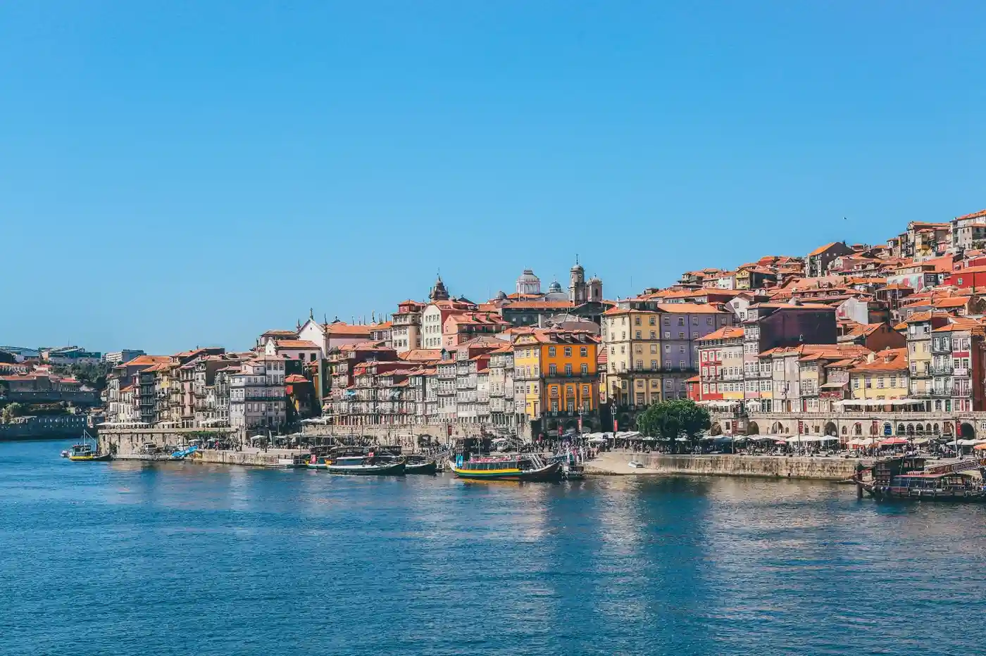 Study in Portugal