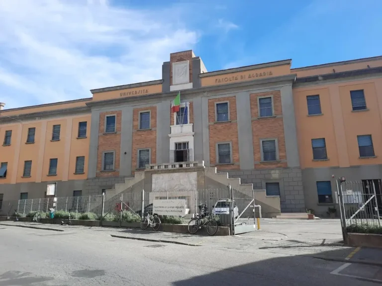 University of Pisa